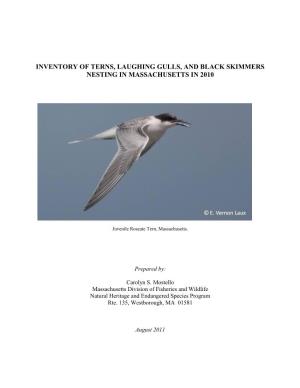 Inventory of Terns, Laughing Gulls, and Black Skimmers Nesting in Massachusetts in 2010