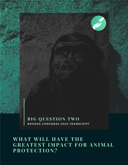 What Will Have the Greatest Impact for Animal Protection? 0 1