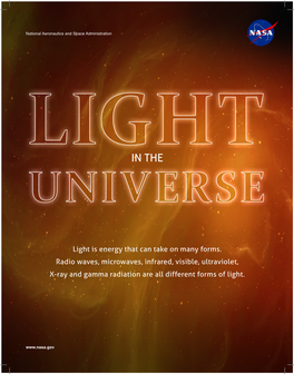 Light in the Universe