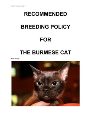 Recommended Breeding Policy for the Burmese