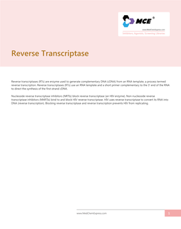 Reverse Transcriptase