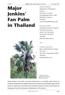 Major Jenkins' Fan Palm in Thailand