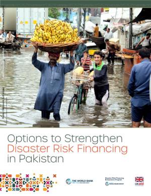 Options-To-Strengthen-Disaster-Risk
