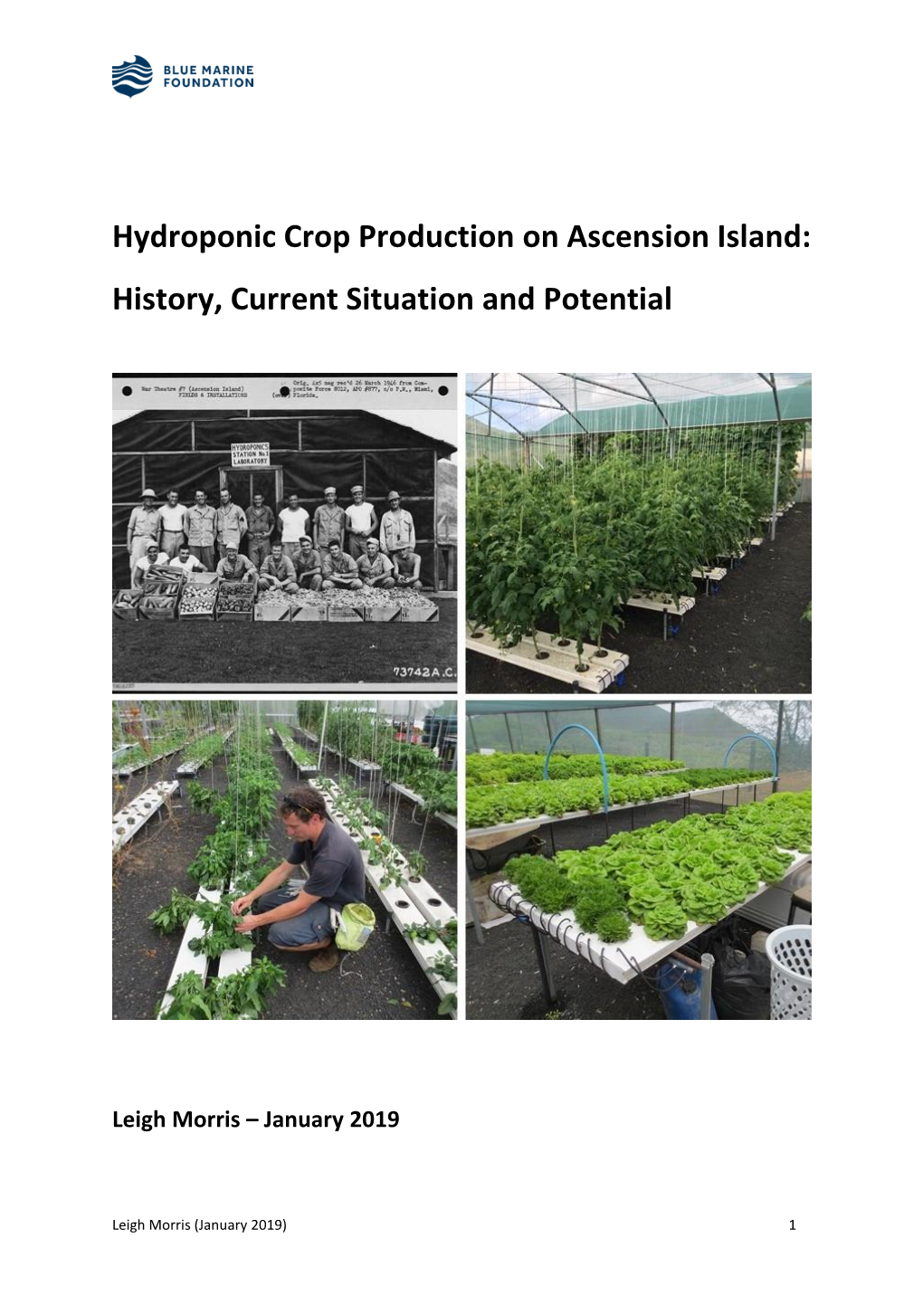 Hydroponic Crop Production on Ascension Island: History, Current Situation and Potential