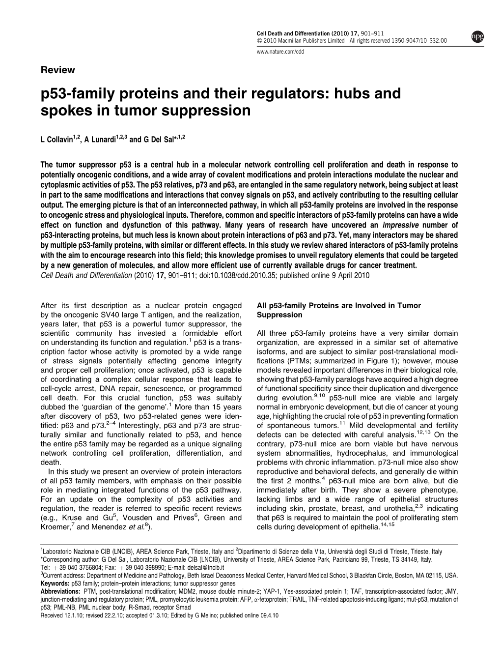 P53-Family Proteins and Their Regulators: Hubs and Spokes in Tumor Suppression