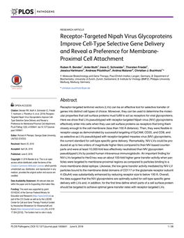 Receptor-Targeted Nipah Virus Glycoproteins Improve Cell-Type Selective Gene Delivery and Reveal a Preference for Membrane- Proximal Cell Attachment