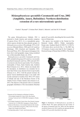 Melanophryniscus Spectabilis Caramaschi and Cruz, 2002 (Amphibia, Anura, Bufonidae): Northern Distribution Extension of a Rare Microendemic Species