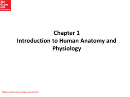 Chapter 1 Introduction to Human Anatomy and Physiology What You Will Learn