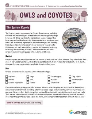 OWLS and COYOTES