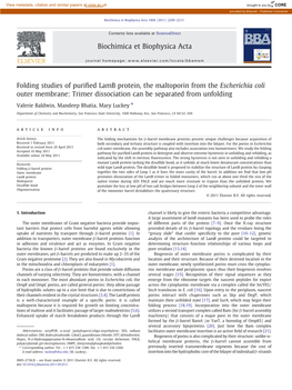 Folding Studies of Purified Lamb Protein, the Maltoporin From