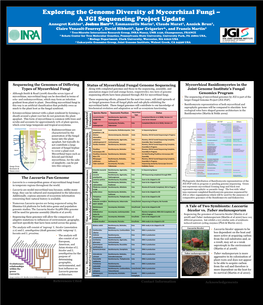 Exploring the Genome Diversity of Mycorrhizal Fungi – a JGI Sequencing Project Update