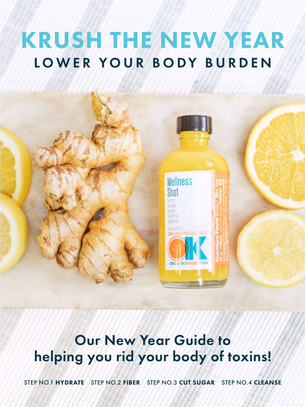 Krush the New Year Lower Your Body Burden
