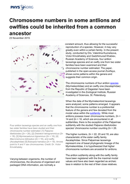 Chromosome Numbers in Some Antlions and Owlflies Could Be Inherited from a Common Ancestor 23 November 2015