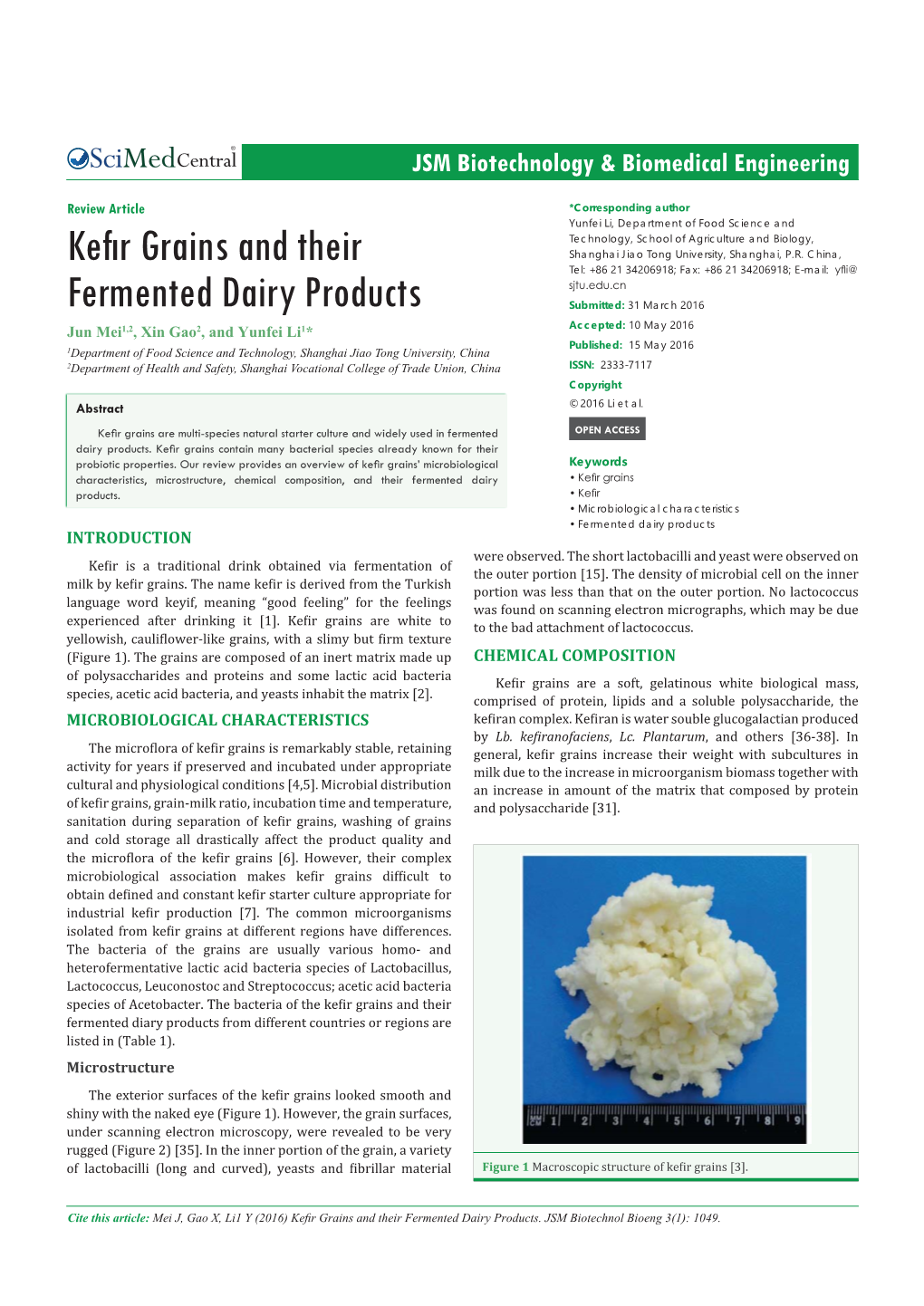 Kefir Grains and Their Fermented Dairy Products