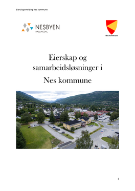 Eierskap Og Samarbeidsløsninger I Nes Kommune