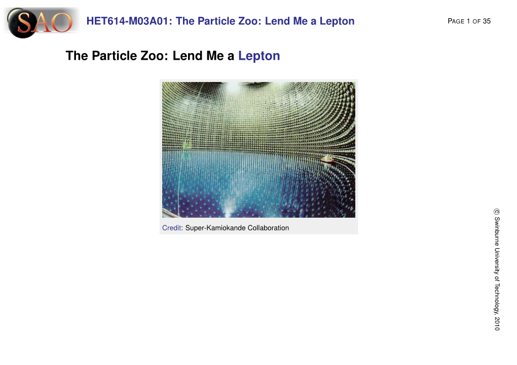 The Particle Zoo: Lend Me a Lepton