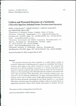 Culture and Pyrenoid Structure of a Symbiotic Chlorella Species Isolated from Paramecium Bursaria