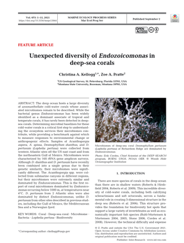 Unexpected Diversity of Endozoicomonas in Deep-Sea Corals