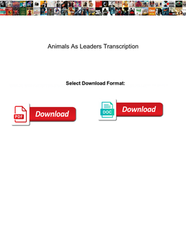 Animals As Leaders Transcription
