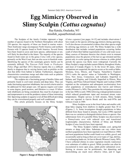 Egg Mimicry Observed in Slimy Sculpin (Cottus Cognatus) Ray Katula, Onalaska, WI Missfish Aqua@Hotmail.Com