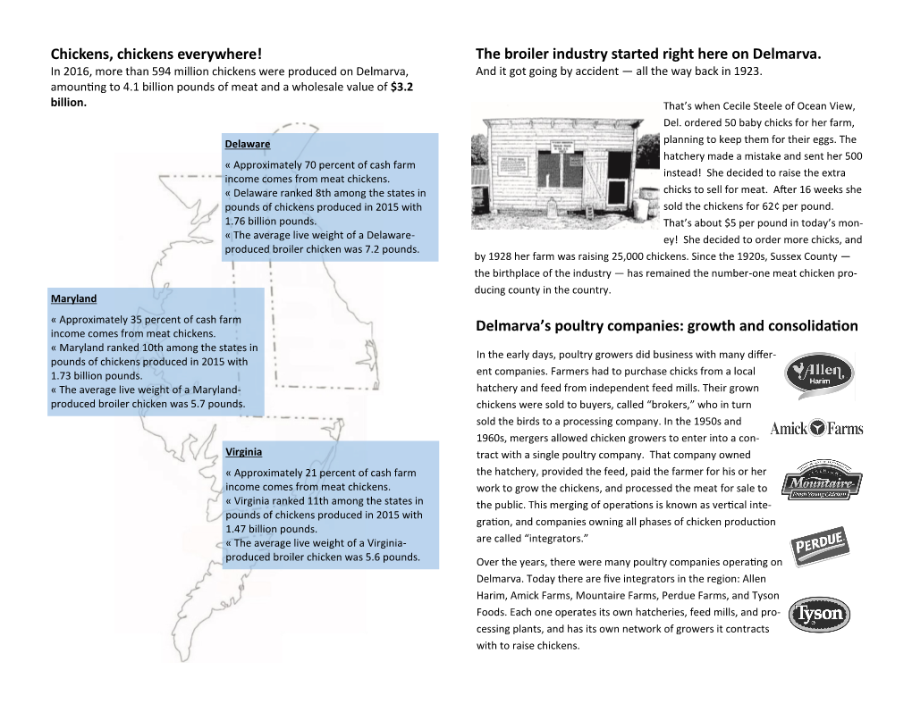 Chickens, Chickens Everywhere! the Broiler Industry Started Right Here on Delmarva