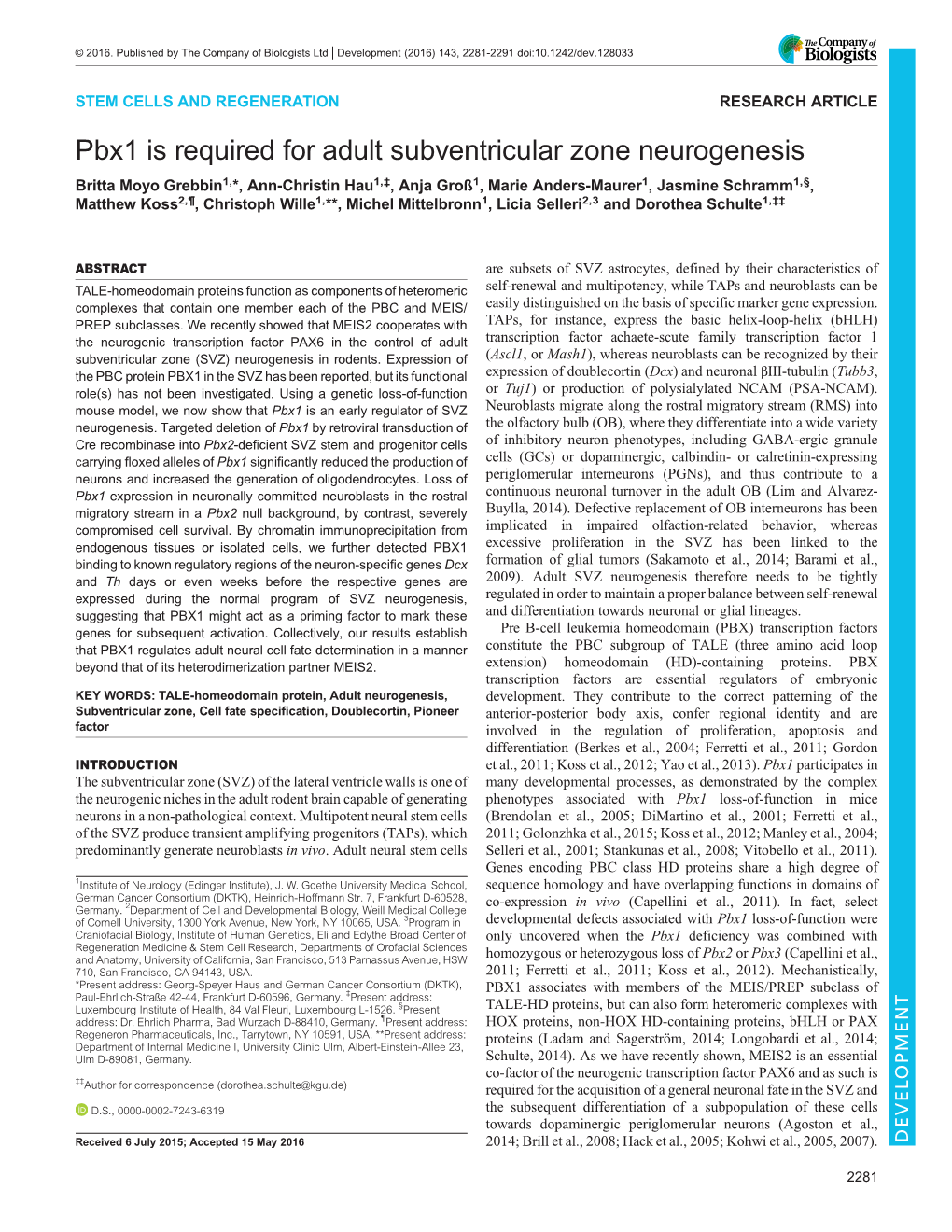 Pbx1 Is Required for Adult Subventricular Zone Neurogenesis