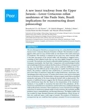 A New Insect Trackway from the Upper Jurassic—Lower Cretaceous Eolian Sandstones of São Paulo State, Brazil: Implications for Reconstructing Desert Paleoecology