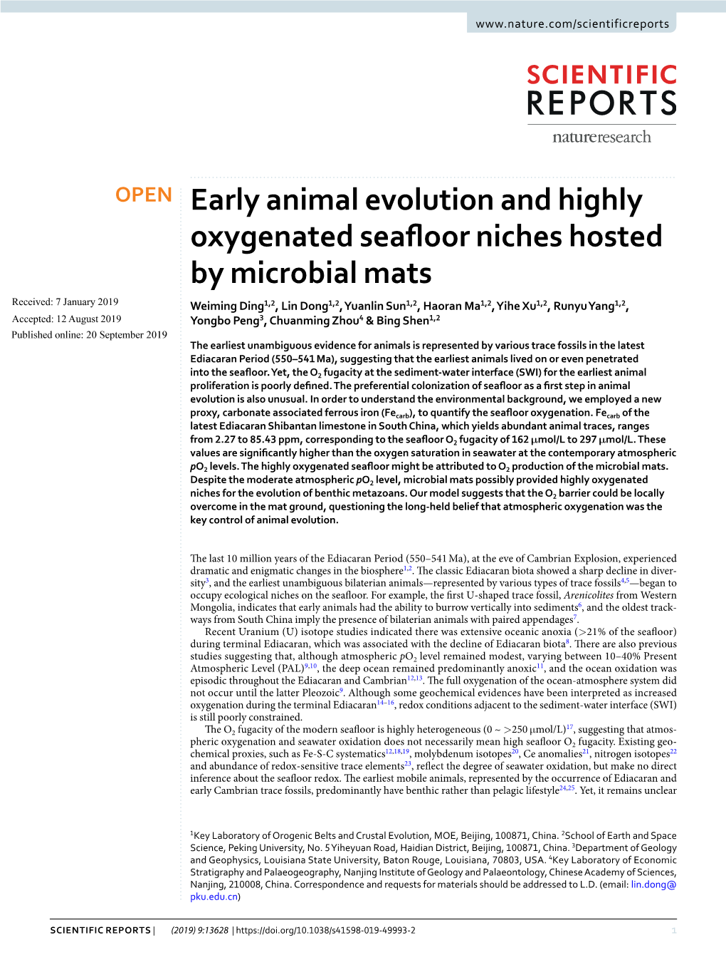 Early Animal Evolution and Highly Oxygenated Seafloor Niches Hosted