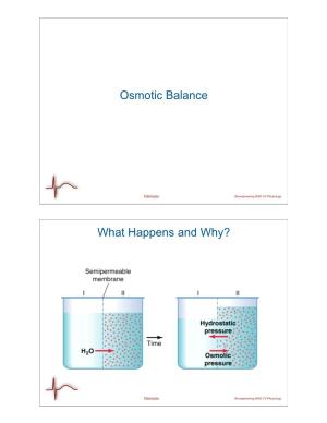 Osmotic Balance What Happens and Why?