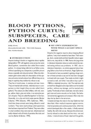 Blood Pythons, Python Curtus; Subspecies, Care and Breeding
