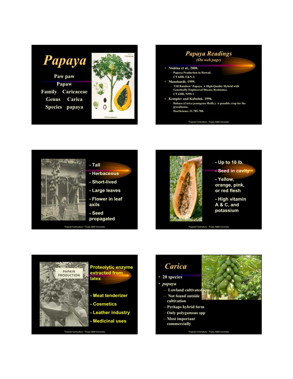 Papaya Readings Papaya (On Web Page) • Nishina Et Al., 2000