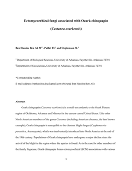 Ectomycorrhizal Fungi Associated with Ozark Chinquapin