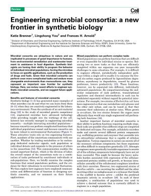 Engineering Microbial Consortia: a New Frontier in Synthetic Biology