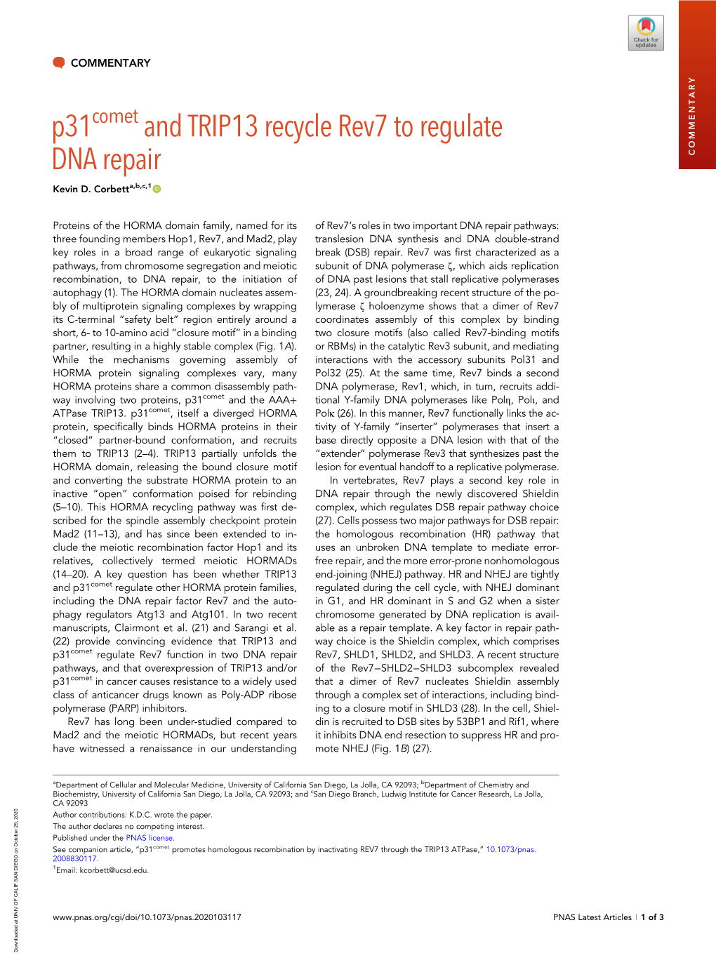 P31comet and TRIP13 Recycle Rev7 to Regulate DNA Repair COMMENTARY Kevin D