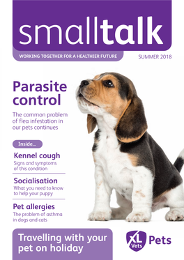 Parasite Control the Common Problem of Flea Infestation in Our Pets Continues
