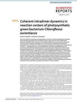 Coherent Intradimer Dynamics in Reaction Centers of Photosynthetic Green Bacterium Chloroflexus Aurantiacus