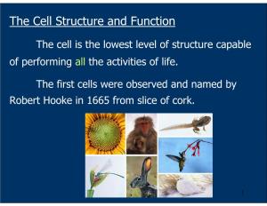 The Cell Structure and Function