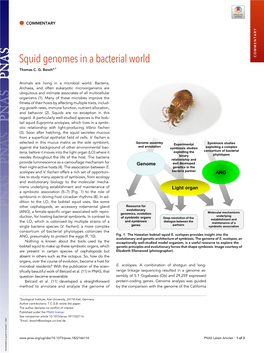 Squid Genomes in a Bacterial World COMMENTARY Thomas C