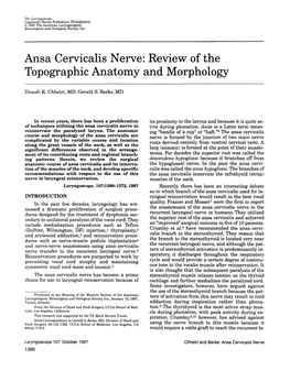 Ansa Cervicalis Nerve: Review of the Topographic Anatomy and Morphology