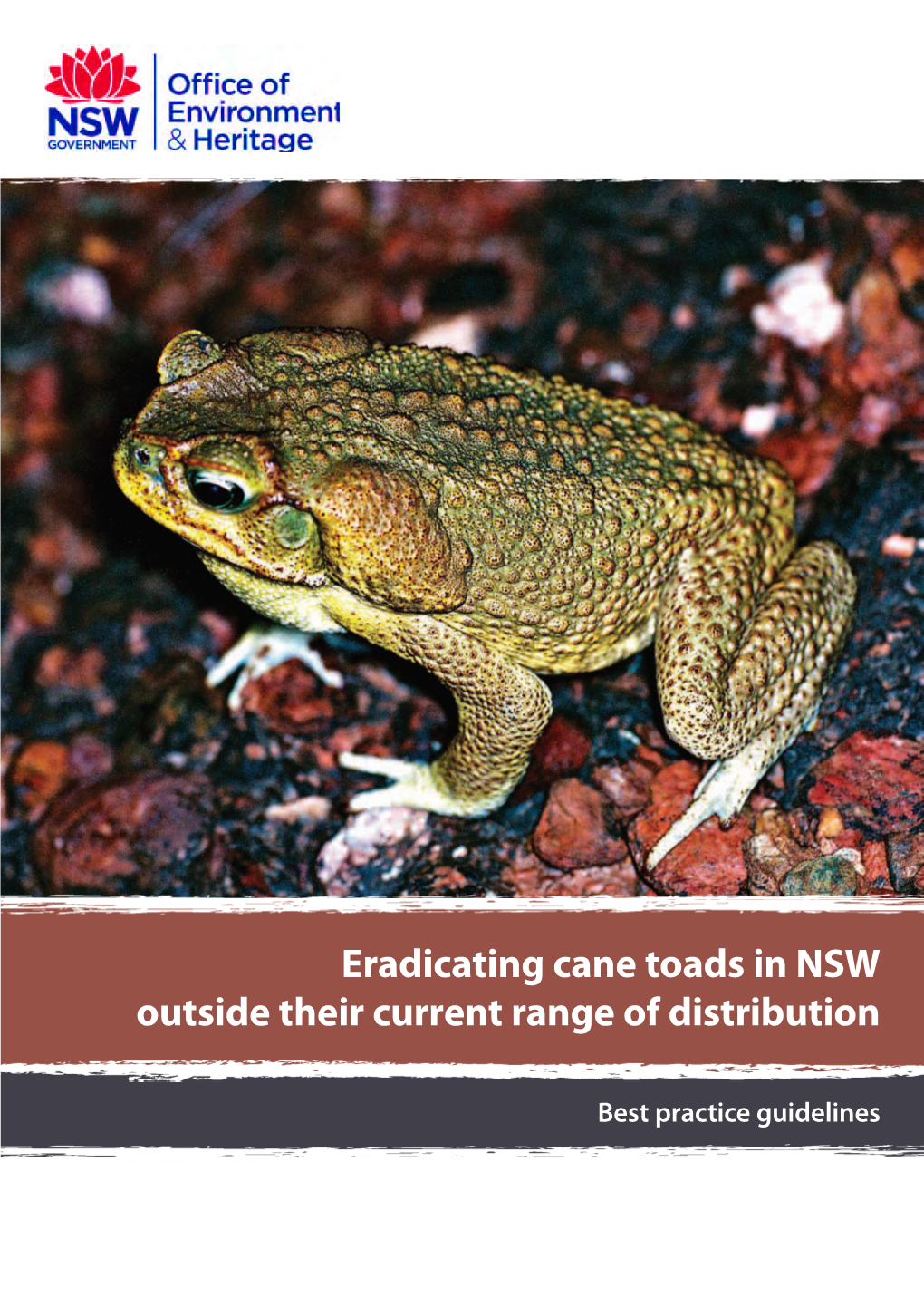 Eradicating Cane Toads in NSW Outside Their Current Range of Distribution