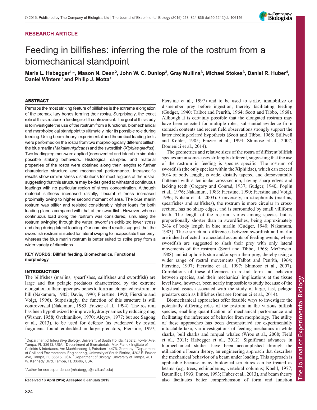 Inferring the Role of the Rostrum from a Biomechanical Standpoint Maria L