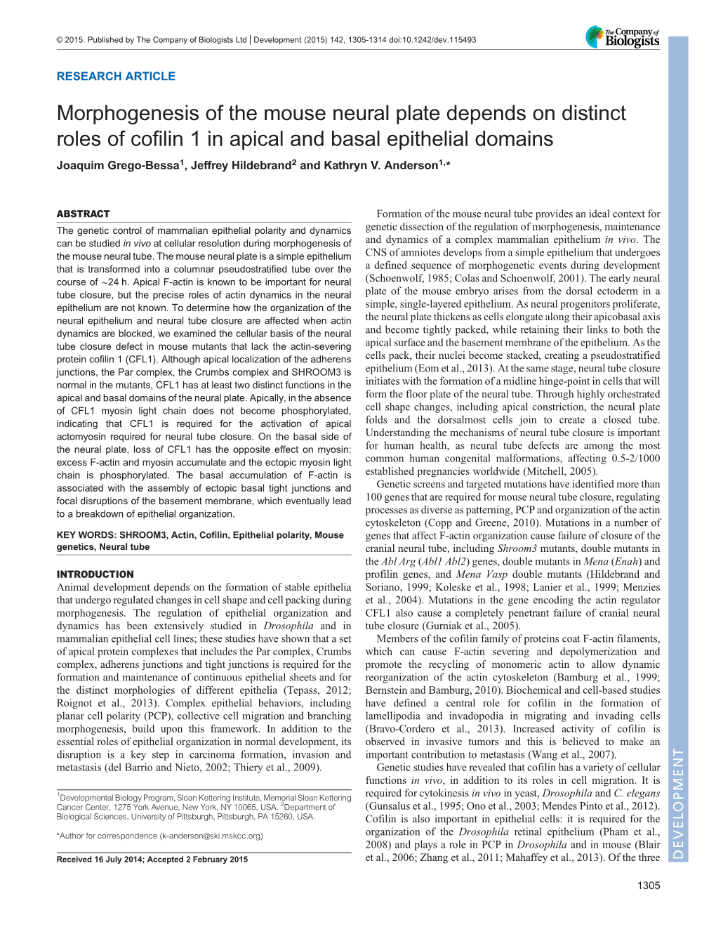 Morphogenesis of the Mouse Neural Plate Depends on Distinct Roles Of