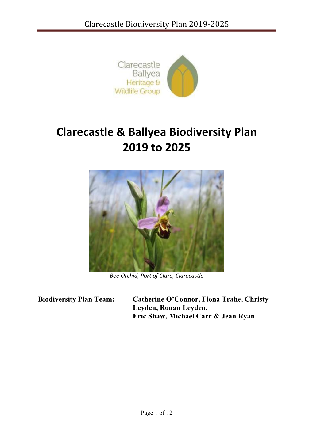 Clarecastle & Ballyea Biodiversity Plan