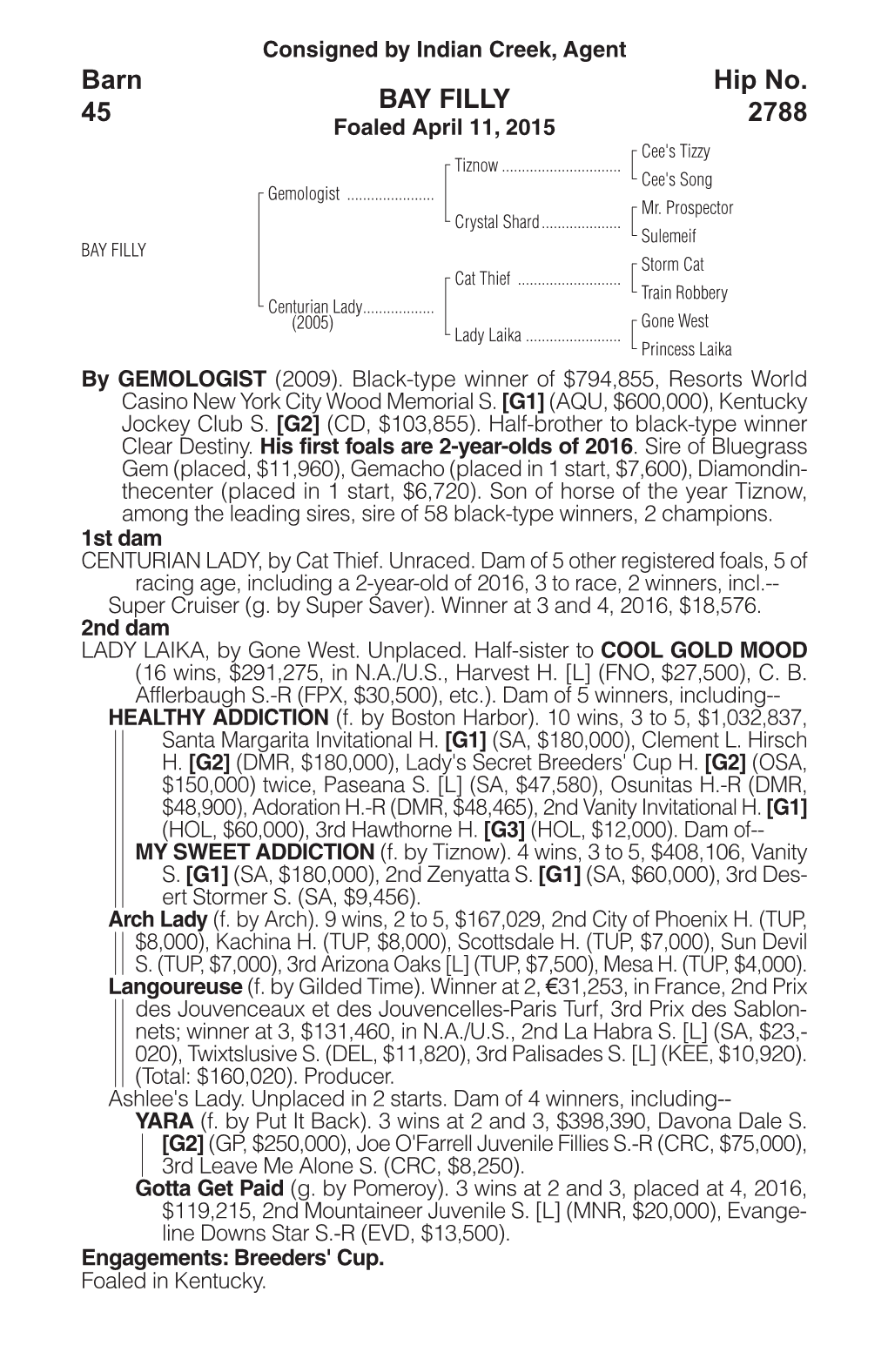 BAY FILLY Barn 45 Hip No. 2788