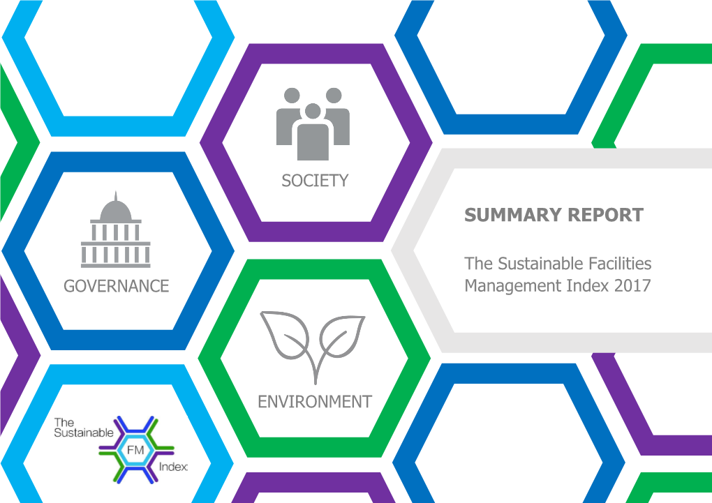 Summary Report Society