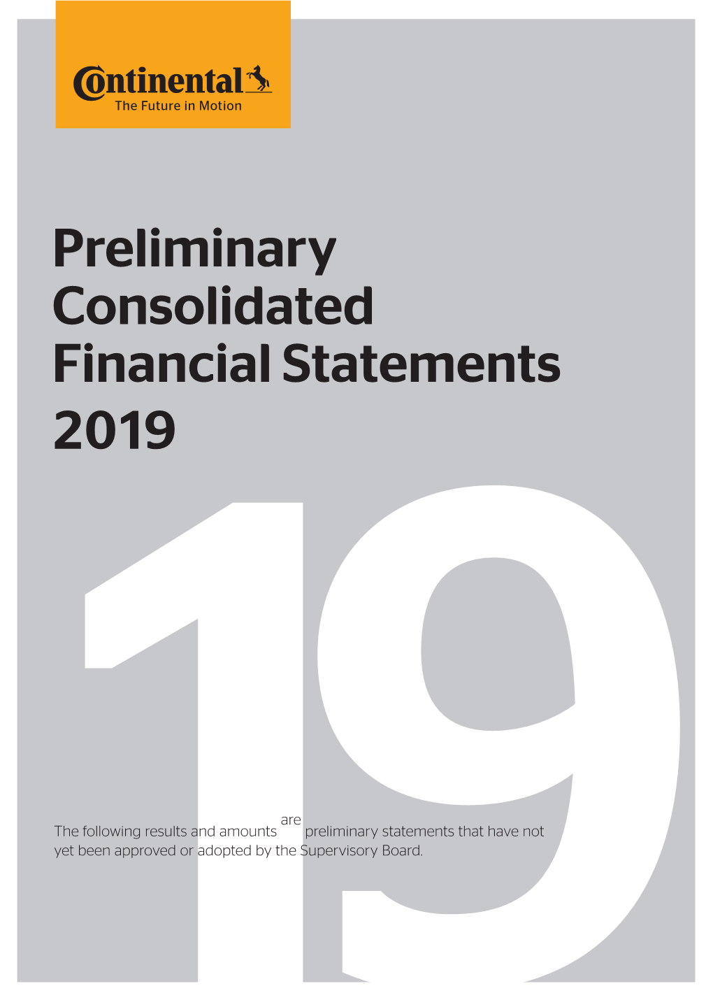 Preliminary Consolidated Financial Statements 2019
