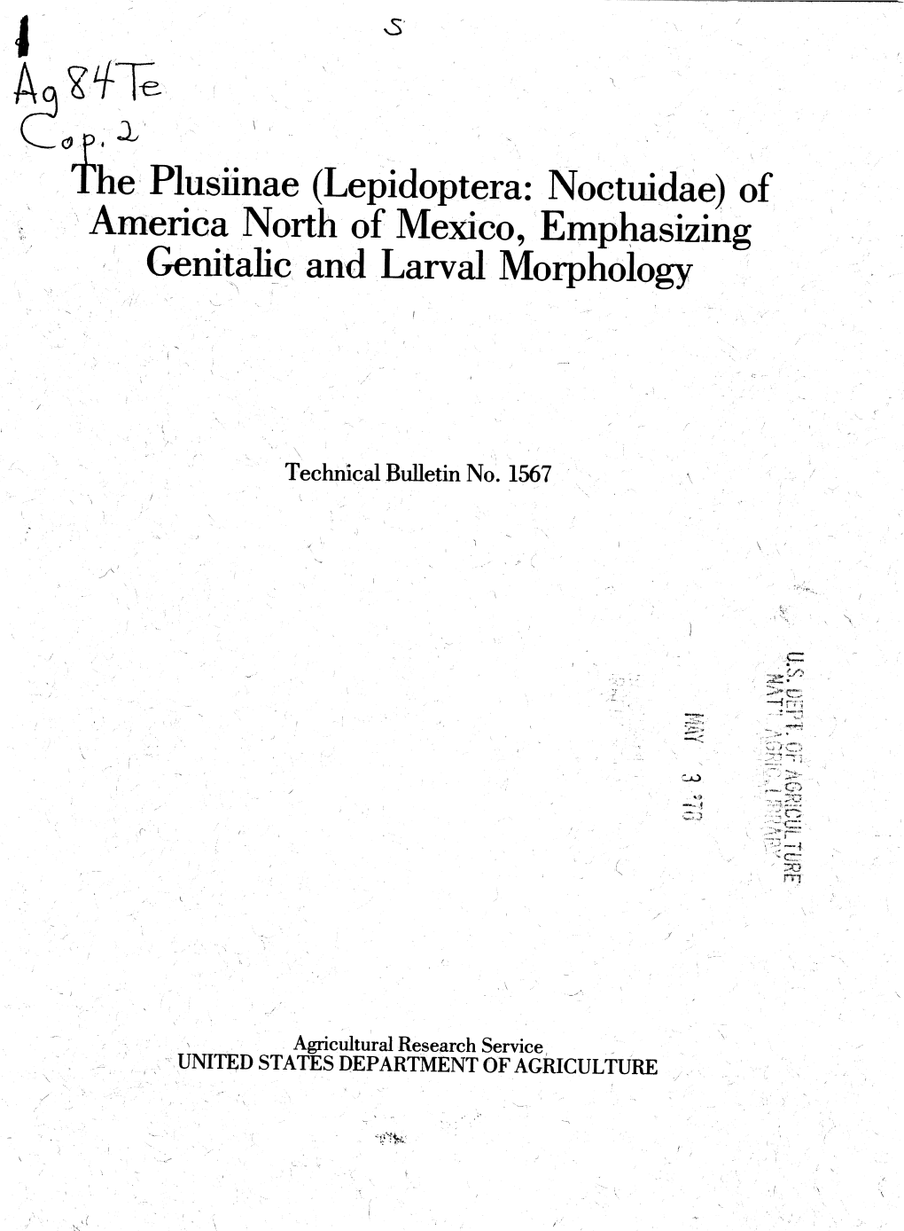 The Plusiinae (Lepidoptera: Noctuidae) of America North of Mexico, Emphasizing Genitalic and Larval Morphology