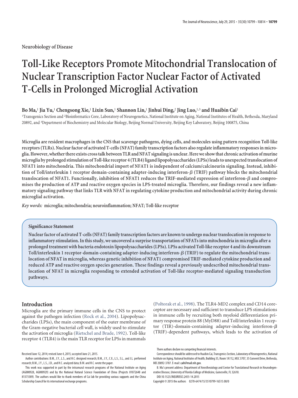 Toll-Like Receptors Promote Mitochondrial Translocation of Nuclear Transcription Factor Nuclear Factor of Activated T-Cells in Prolonged Microglial Activation