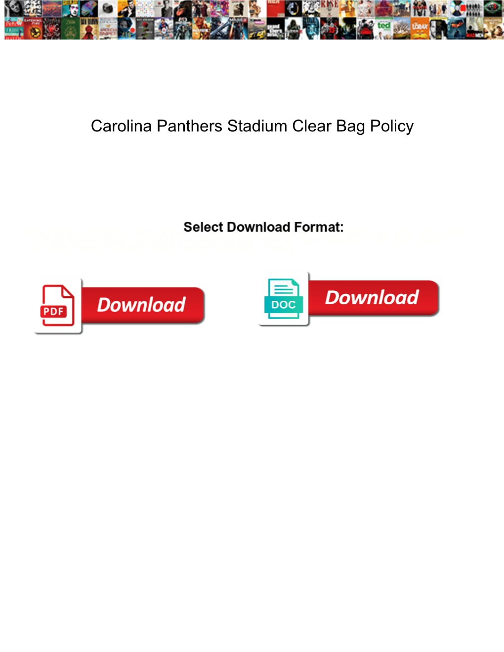 Carolina Panthers Stadium Clear Bag Policy