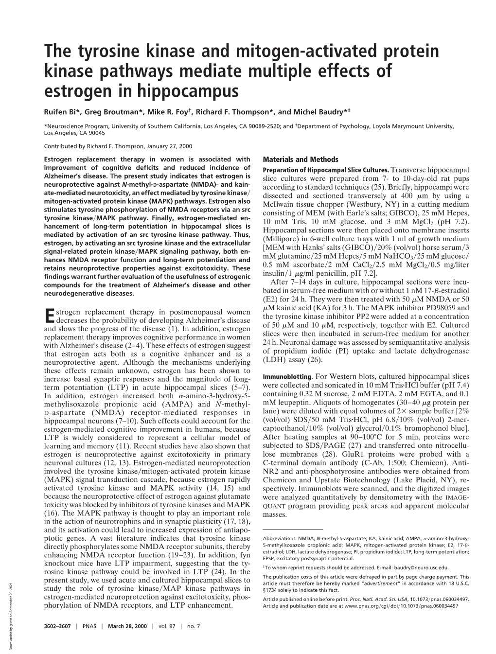 The Tyrosine Kinase and Mitogen-Activated Protein Kinase Pathways Mediate Multiple Effects of Estrogen in Hippocampus